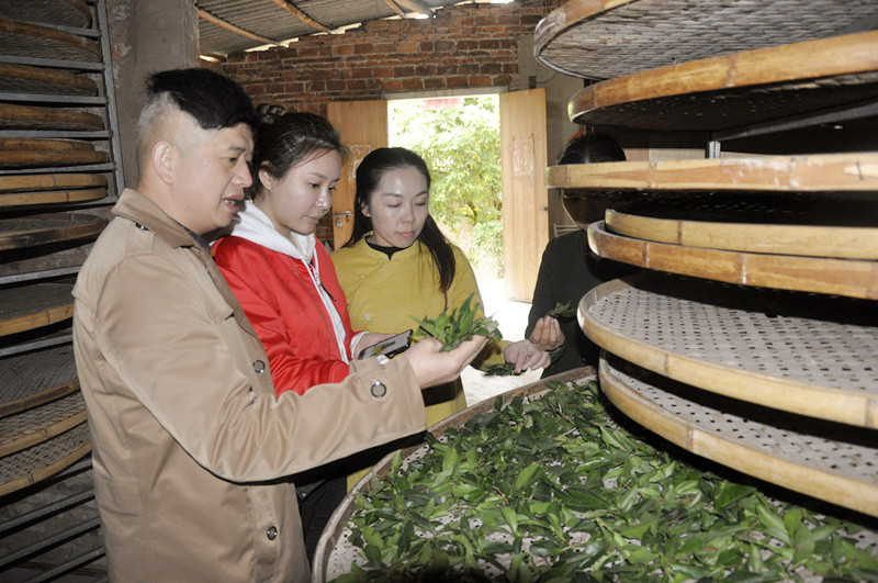 天晟茶艺培训学校是否有茶艺表演和茶席设计课程？